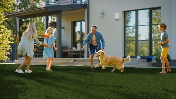 MSI Evergrass® Turf - Meadow Green Pet-turf 91 3/8 in x 30 mm