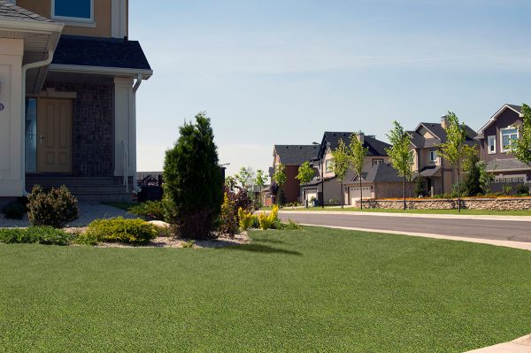 MSI Evergrass® Turf - Viridian Turf 91 3/8 in x 45 mm