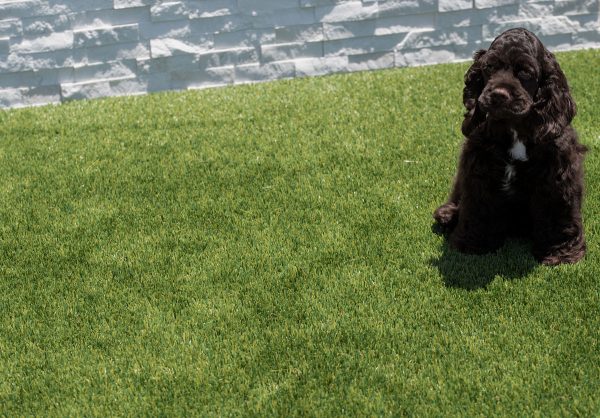 MSI Evergrass® Turf - Viridian Turf 91 3/8 in x 45 mm