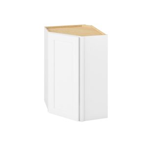 Cooper - 24" x 36" Wall Diagonal Cabinet, 1 Door, 2 Shelves in White CWH-WDC2436