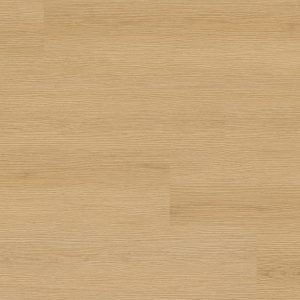 MSI XL Studio - Roswell 30 mil 9 in x 60 in