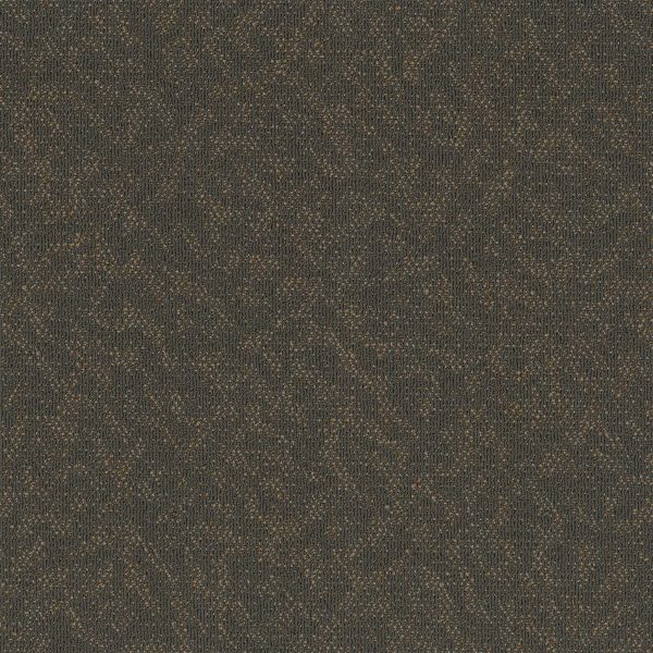 Pentz Animated Tile 7040T - Eager 24 in x 24 in