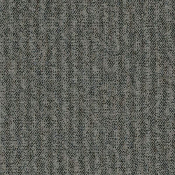 Pentz Animated Tile 7040T - Lively 24 in x 24 in