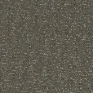Pentz Animated Tile 7040T - Exuberant 24 in x 24 in