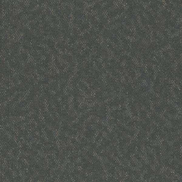 Pentz Animated Tile 7040T - Perky 24 in x 24 in