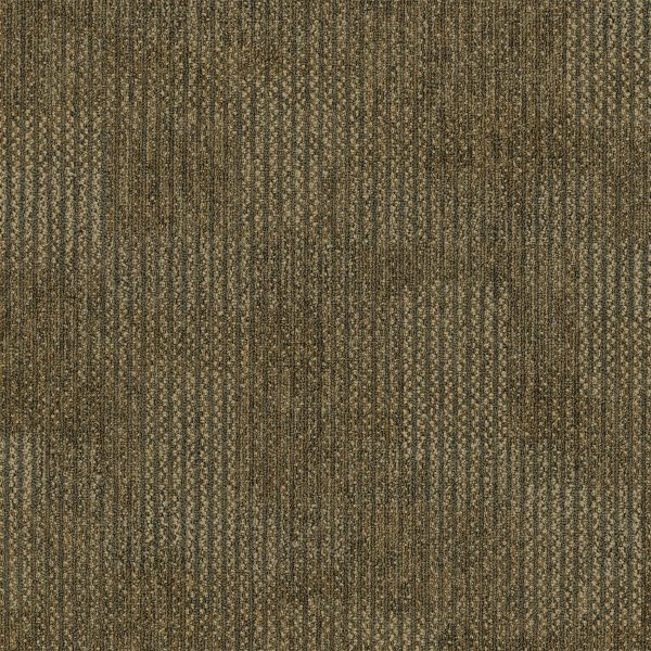 Pentz Revolution Tile 7044T - Transformation 24 in x 24 in