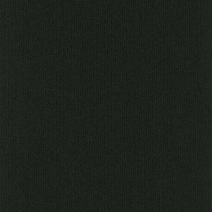 Pentz Colorburst Plank 7049P - Midnight 12 in x 48 in