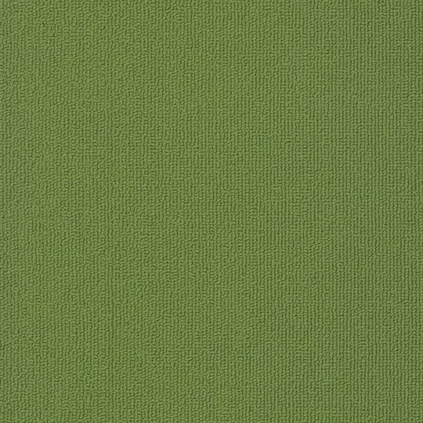 Pentz Colorburst Plank 7049P - Parrot 12 in x 48 in