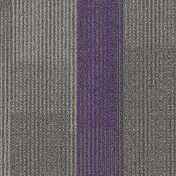 Pentz Amplify Plank 7053P - Royal Purple 12 in x 48 in