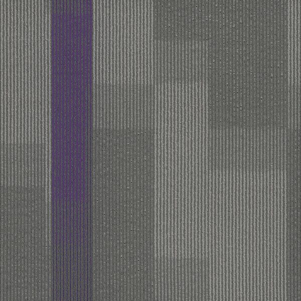 Pentz Amplify Tile 7053T - Royal Purple 24 in x 24 in