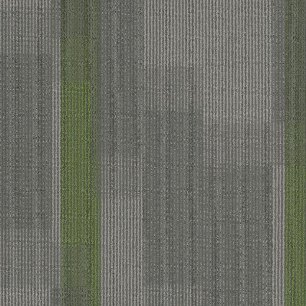 Pentz Amplify Tile 7053T - Parrot 24 in x 24 in