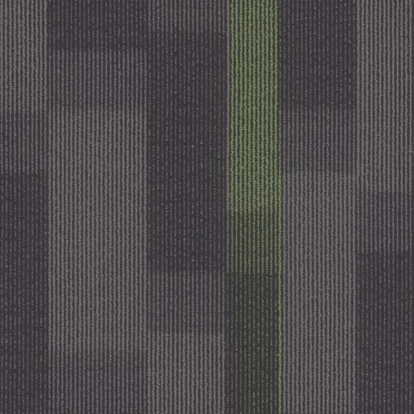 Pentz Magnify Tile 7054T - Parrot 24 in x 24 in