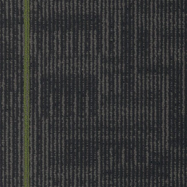 Pentz Echo Plank 7055P - Parrot 12 in x 48 in