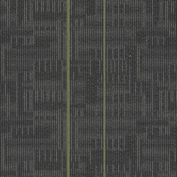 Pentz Echo Tile 7055T - Parrot 24 in x 24 in