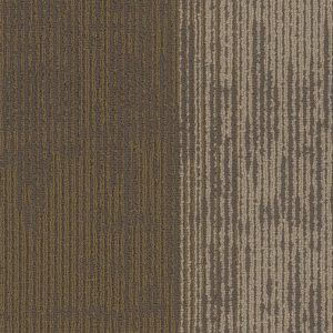 Pentz Universe Plank 7086P - Ecliptic 12 in x 48 in