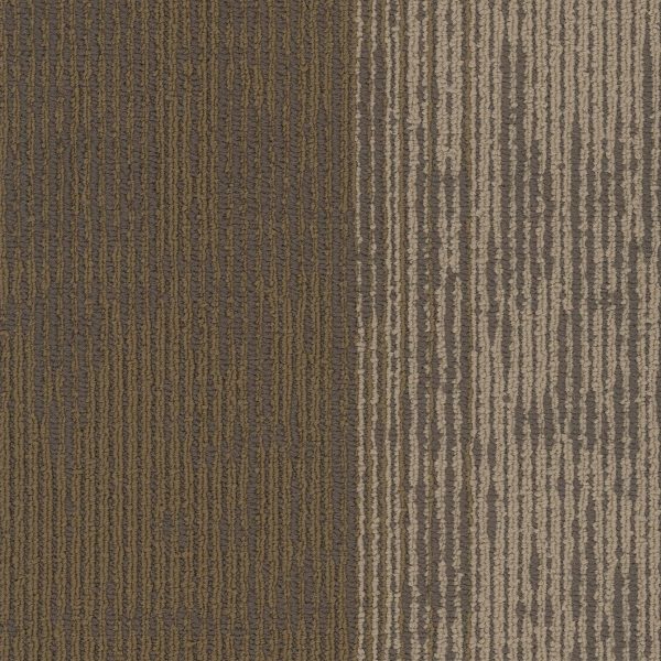 Pentz Universe Plank 7086P - Ecliptic 12 in x 48 in