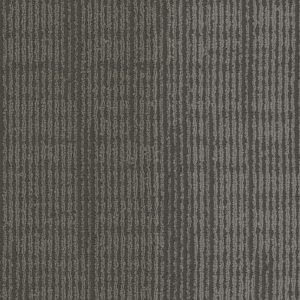 Pentz Element Plank 7087P - Celestial 12 in x 48 in