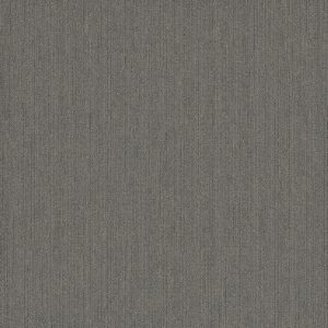 Pentz Colorpoint Plank 7094P - Fossil 12 in x 48 in