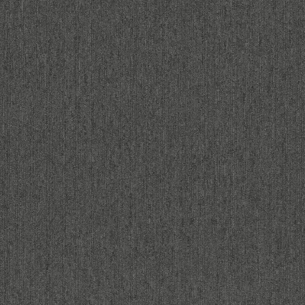 Pentz Colorpoint Plank 7094P - Iron 12 in x 48 in