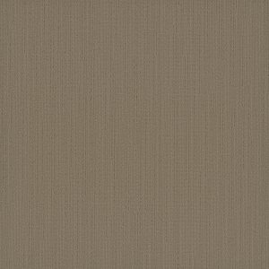Pentz Colorpoint Plank 7094P - Parchment 12 in x 48 in