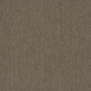 Pentz Colorpoint Plank 7094P - Granola 12 in x 48 in