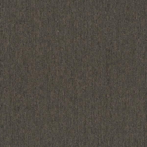 Pentz Colorpoint Tile 7094T - Hazlenut 24 in x 24 in