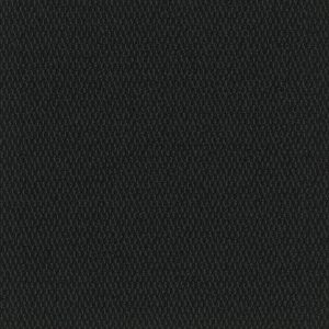 Pentz Entrance Tile Walk-Off 7447T - Onyx 24 in x 24 in