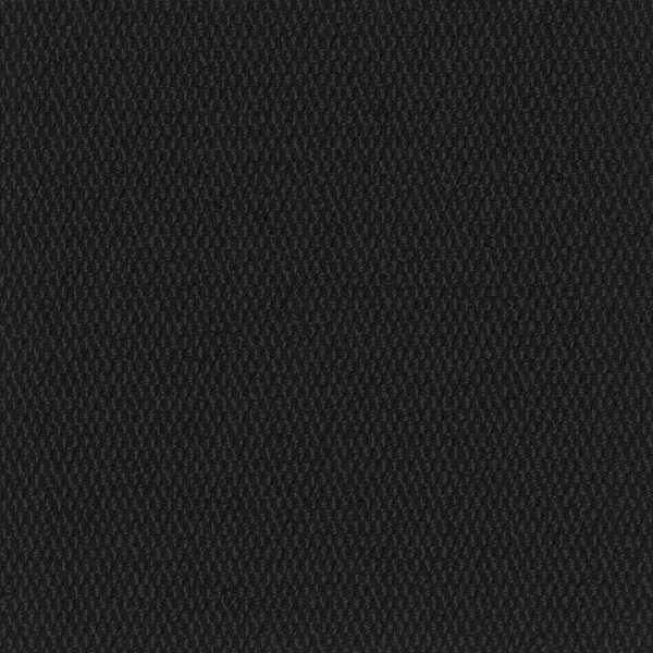 Pentz Entrance Tile Walk-Off 7447T - Onyx 24 in x 24 in
