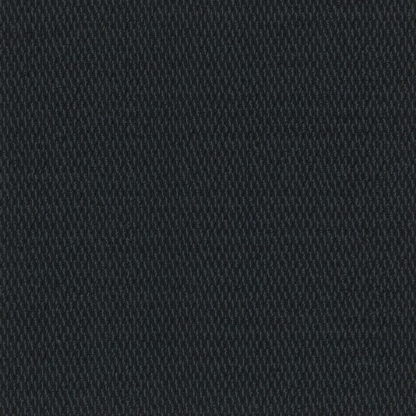 Pentz Entrance Tile Walk-Off 7447T - Noir 24 in x 24 in