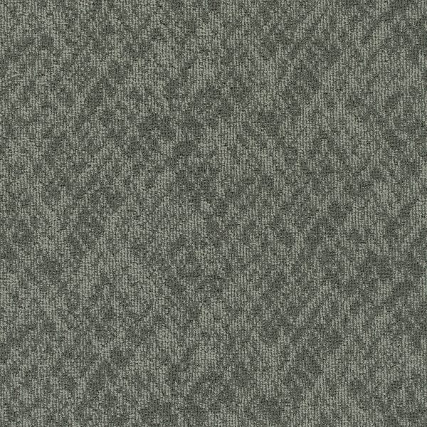 Pentz Homepage 7552T - Domain 24 in x 24 in