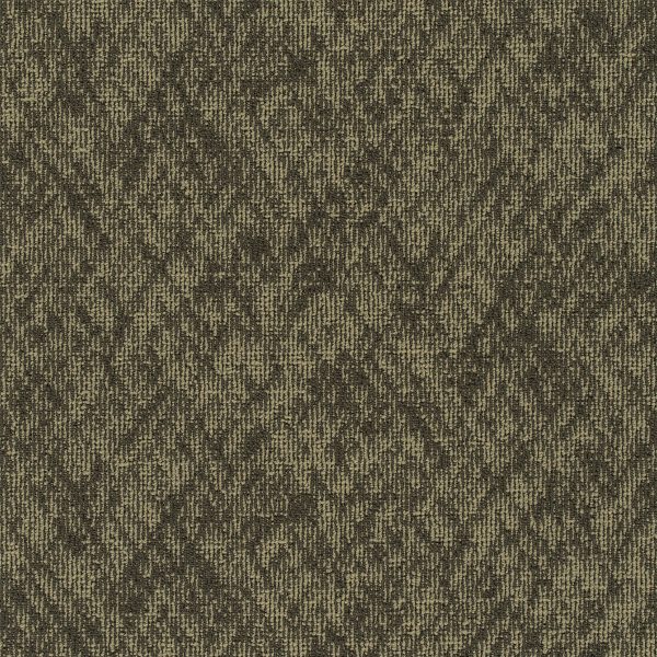 Pentz Homepage 7552T - Cookies 24 in x 24 in