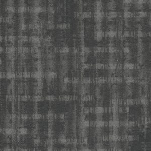 Pentz Veritas Tile 7911T - Done Deal 24 in x 24 in