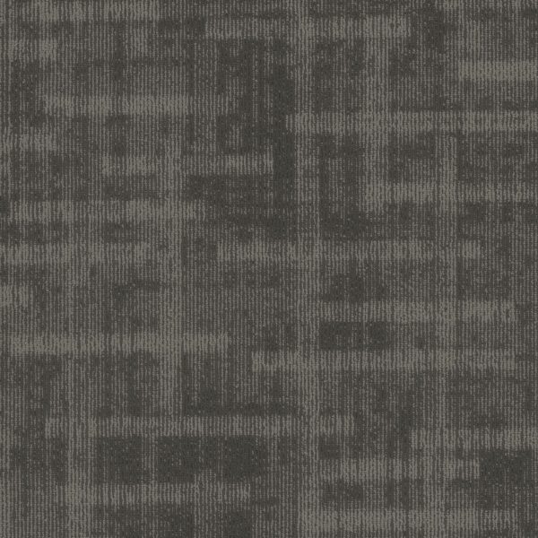 Pentz Veritas Tile 7911T - Shoo-In 24 in x 24 in
