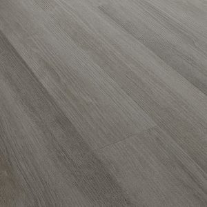 Audacity Flooring AudacityOne -  Noland 12 mil 6.42 in x 48.62 in