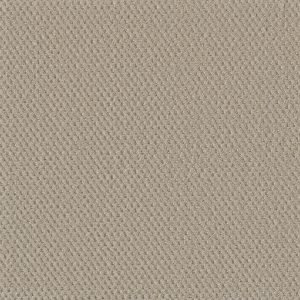 DreamWeaver MOON BAY - 6309 Champagne Fizz