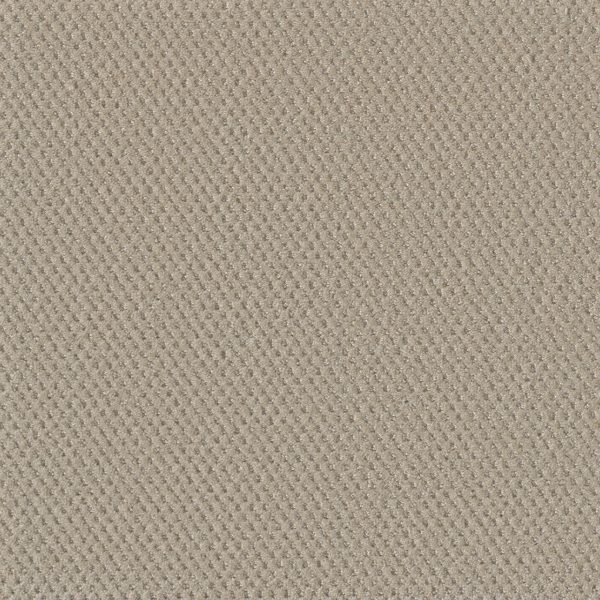 DreamWeaver MOON BAY - 6309 Champagne Fizz