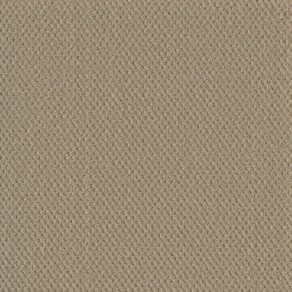 DreamWeaver MOON BAY - 6317 Soft Pine