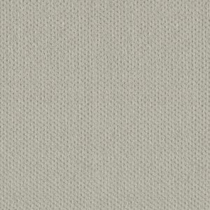 DreamWeaver MOON BAY - 6809 Cloud Nine