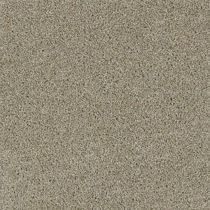 DreamWeaver ACCLAIM - 116 Rhinestone