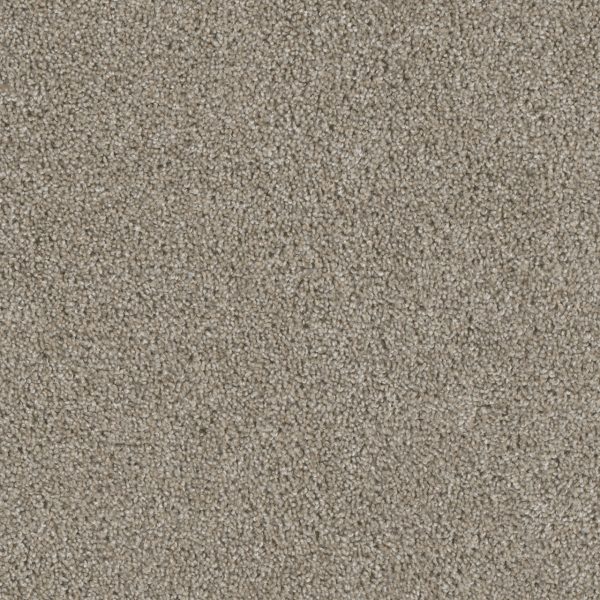 DreamWeaver ACCLAIM - 164 Vela
