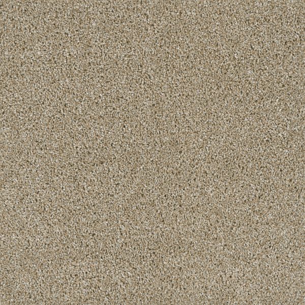 DreamWeaver ACCLAIM - 298 Outback