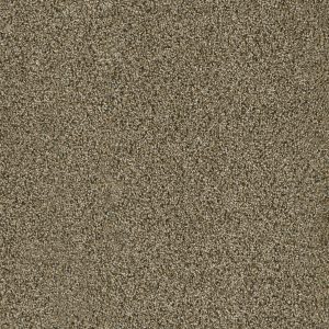 DreamWeaver ACCLAIM - 307 Island Spice