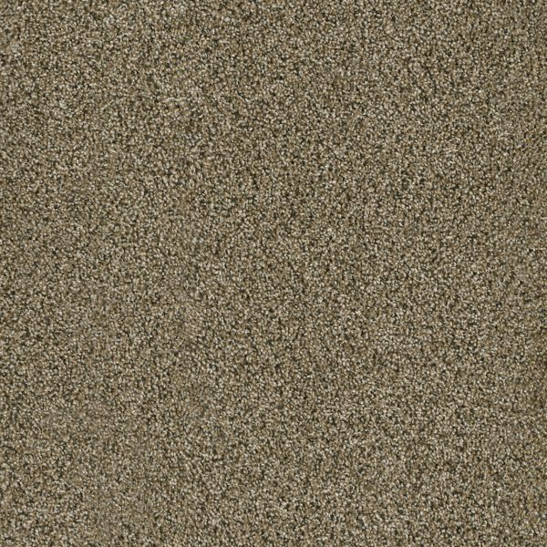 DreamWeaver ACCLAIM - 307 Island Spice