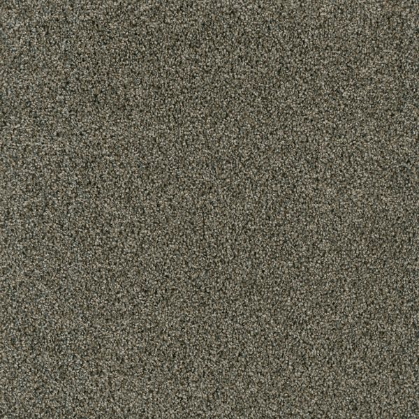 DreamWeaver ACCLAIM - 427 Midnight Shadow