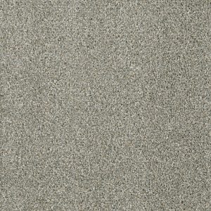 DreamWeaver ACCLAIM - 495 Sandy Trail