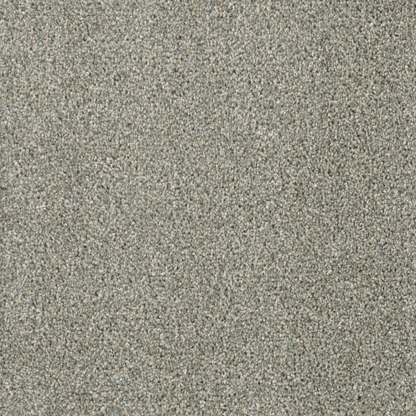 DreamWeaver ACCLAIM - 495 Sandy Trail