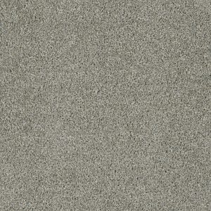 DreamWeaver ACCLAIM - 570 Looking Glass