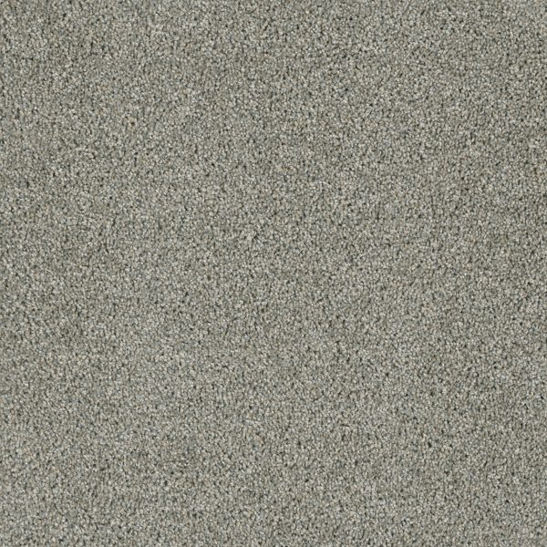 DreamWeaver ACCLAIM - 570 Looking Glass