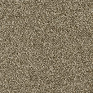 DreamWeaver ACCLAIM - 680 Sienna Sand