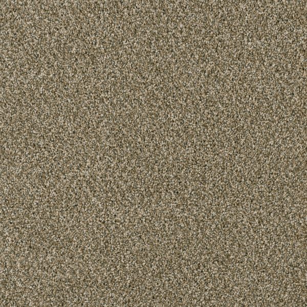DreamWeaver ACCLAIM - 680 Sienna Sand